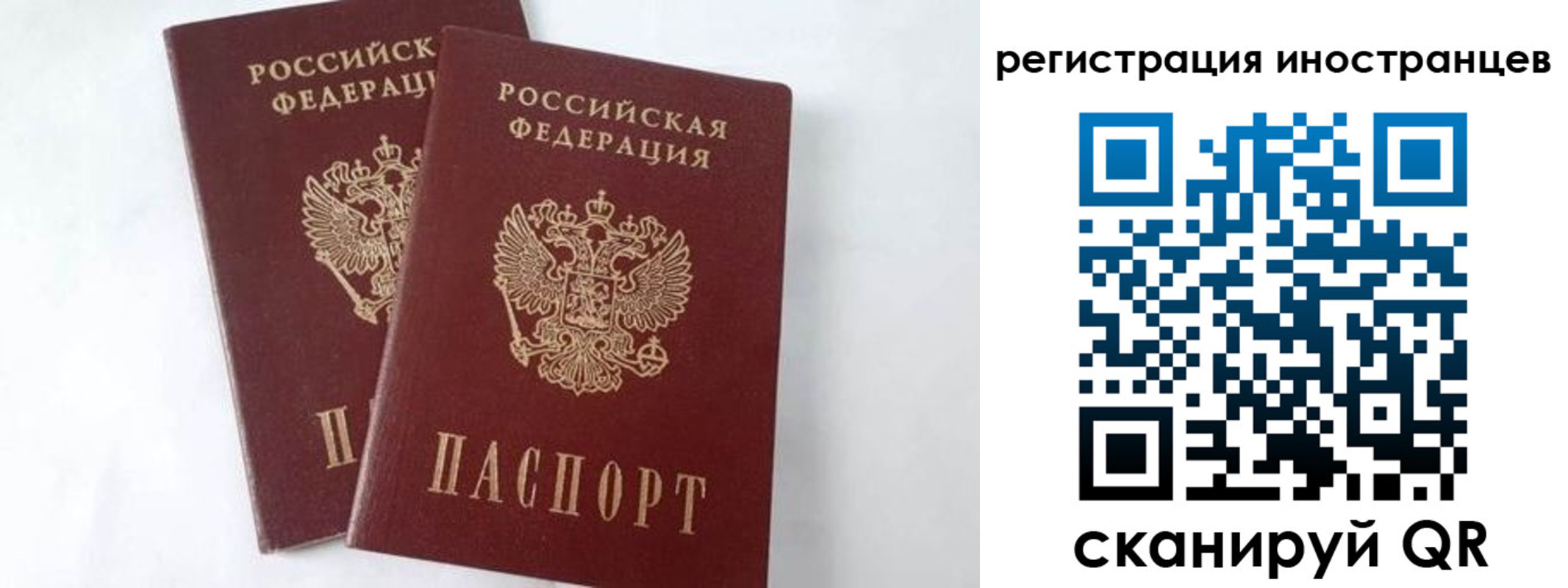 регистрация для школы в Гаврилов-Яме